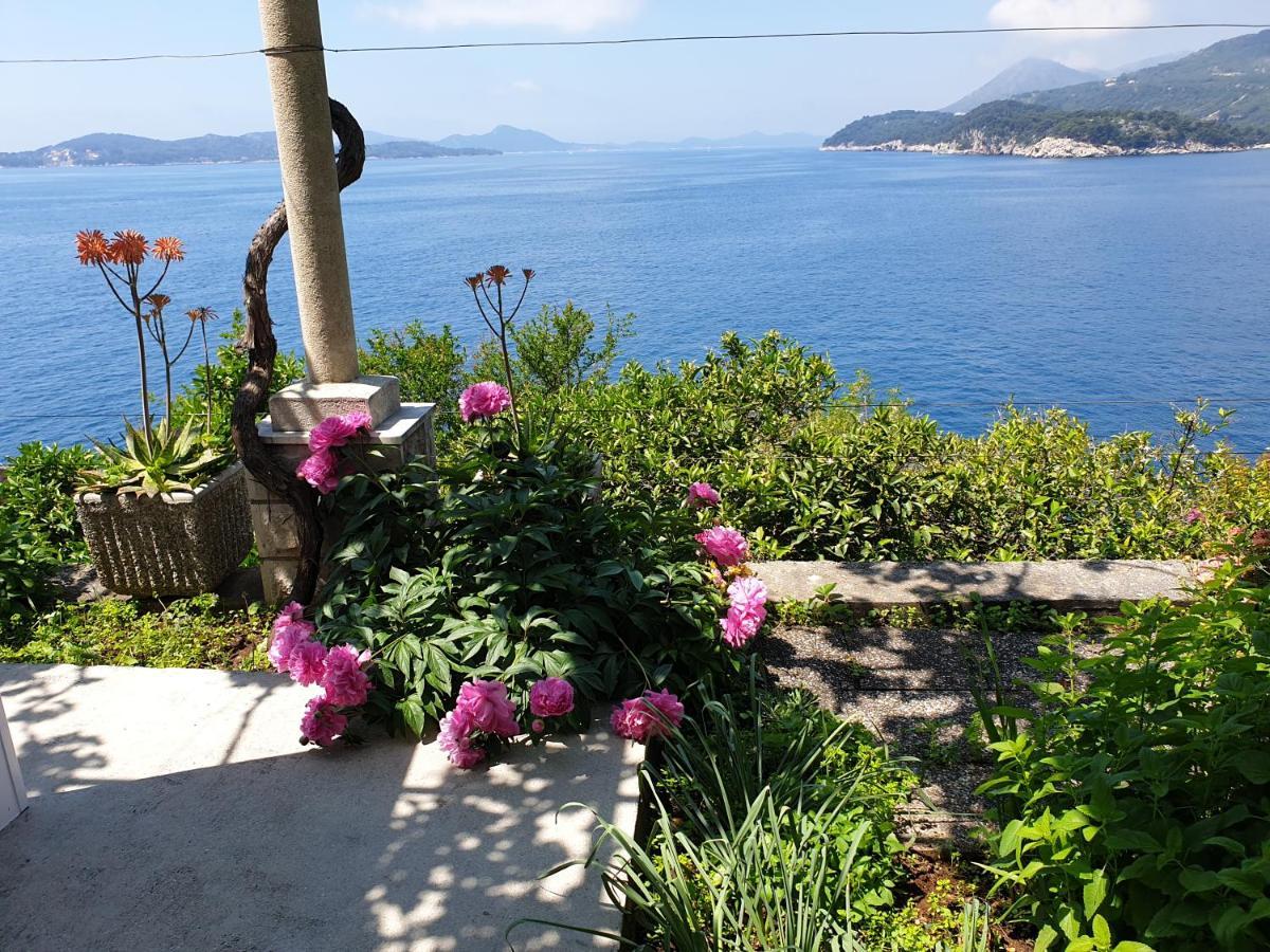 Apartments Bajo - Free Parking Dubrovnik Ngoại thất bức ảnh
