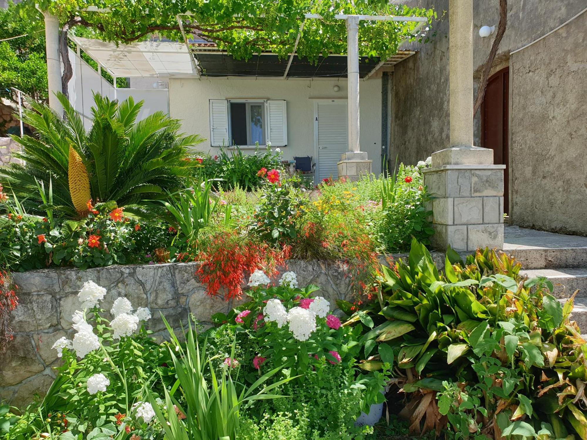 Apartments Bajo - Free Parking Dubrovnik Ngoại thất bức ảnh