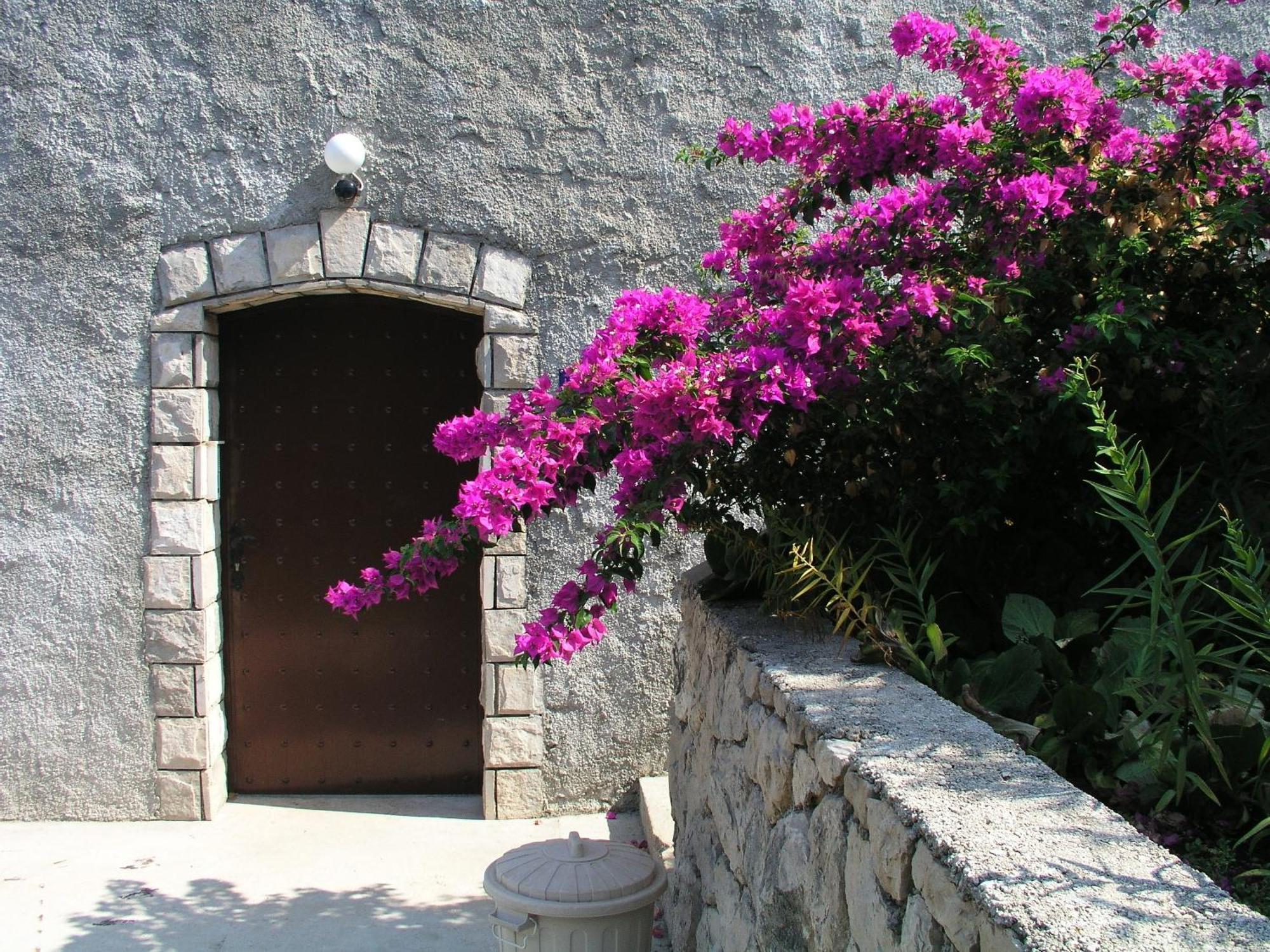 Apartments Bajo - Free Parking Dubrovnik Ngoại thất bức ảnh
